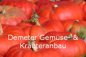 Demeter Gemüse- & Kräuteranbau